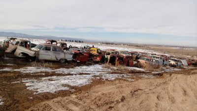 Junkyard discovery: Martin Auto Salvage, Windsor CO