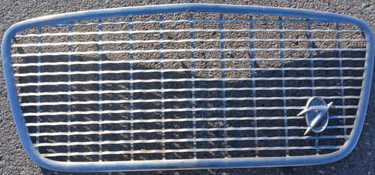 1959 Studebaker Lark Grille