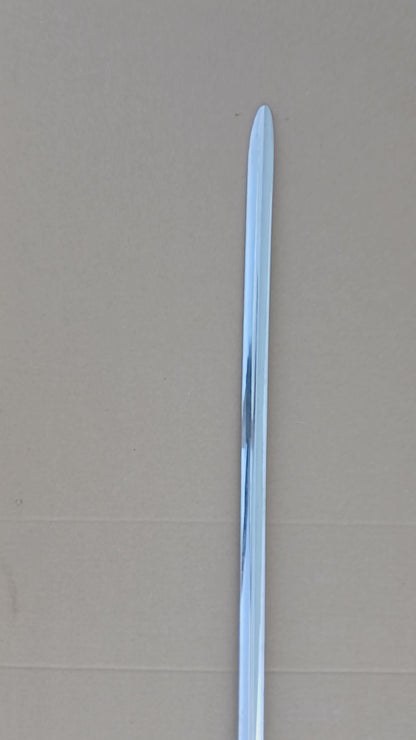 1958 Ford Fairlane Side Trim