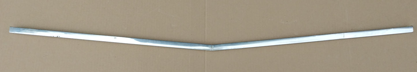 1959 Ford wagon tailgate trim