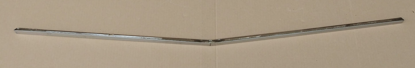 1959 Ford wagon tailgate trim